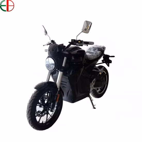 Electric motor motorcycle 3KW 5KW 10KW 72V 120kmh gear less with hub motor