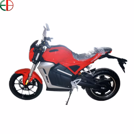 Electric motor motorcycle 3KW 5KW 10KW 72V 120kmh gear less with hub motor