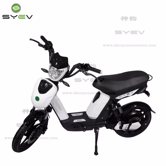 Long Range EEC Electric Scooter Motorcycle Adult Electric Motorcycle